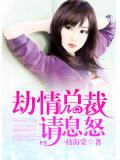 劫情总裁，请息怒