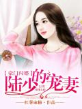豪门闪婚，陆少的宠妻