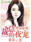 禁忌游戏:总裁的夜宠