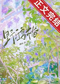 野鸦椿